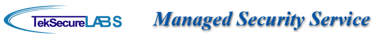 Managed Security Service